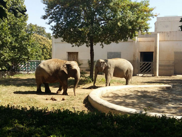 Beijing Zoo