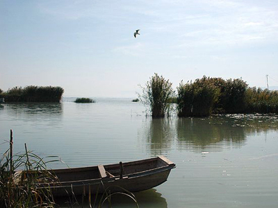 Korla - Bosten Lake