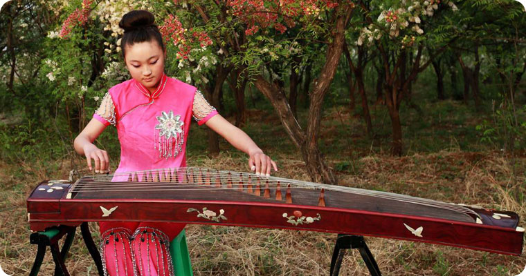 Traditional Chinese Musical Instrument