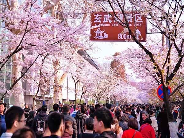 Crowds in Attraction of China