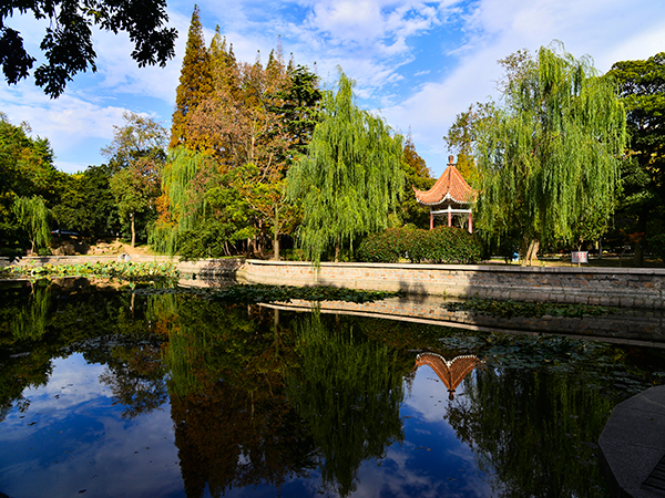 Eight Passes in Qingdao