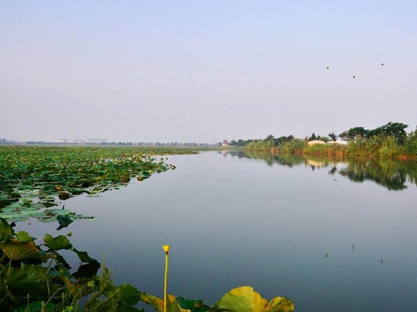 Most Famous Lakes in China - Hongze Lake