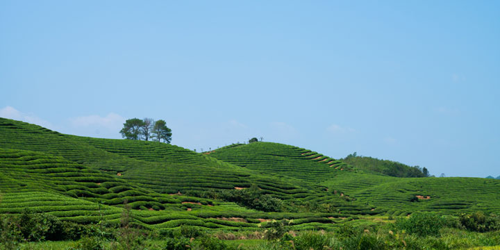 The Most Beautiful Rice Terrace in China, Jiangling Rice Terrace Jiangling Rice Terrace