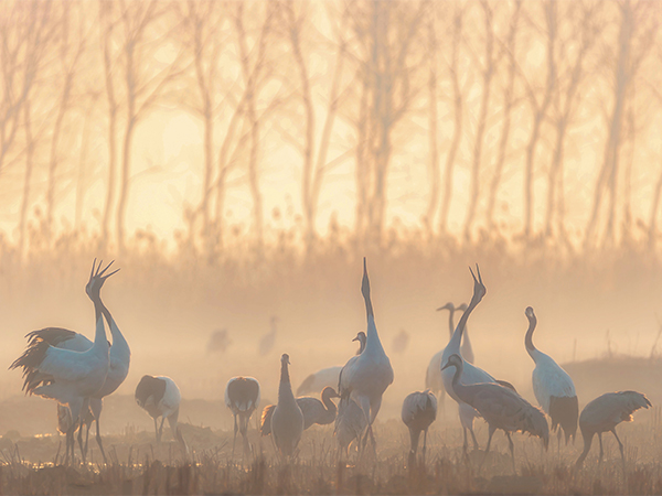 Best birding spots in China