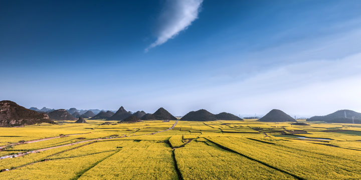 The 5 Most Beautiful Forest Peaks in China, Luoping Jinji Forest Peak Jinji Forest Peak, Luoping