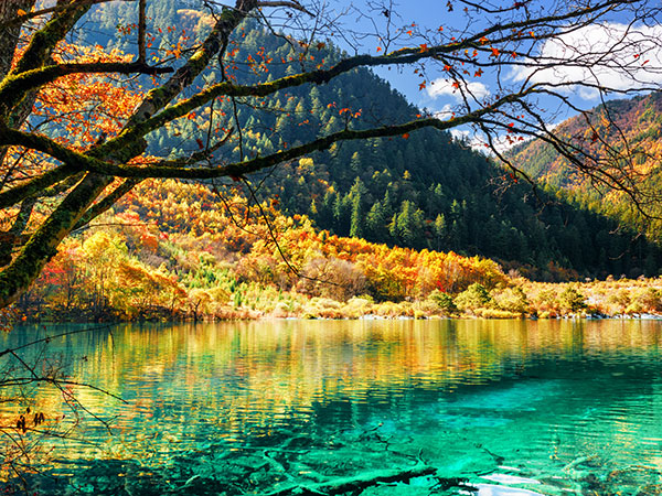 Jiuzhaigou Scenic Area Jiuzhaigou Scenic Area
