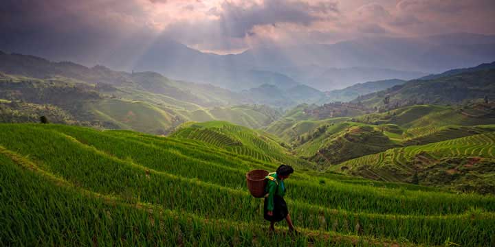 The Most Beautiful Rice Terrace in China, Longji Rice Terrace Longji Rice Terrace