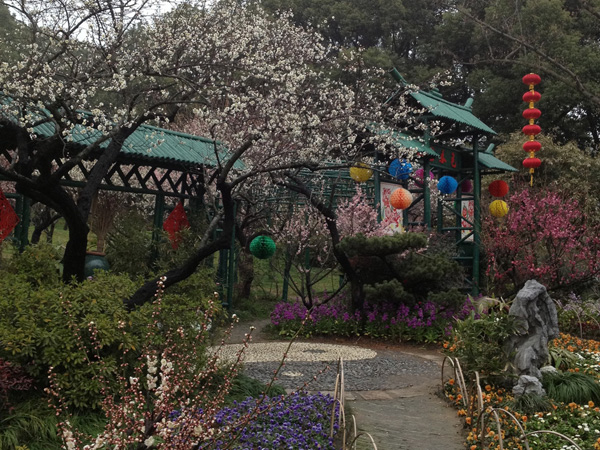 Best Places to Visit in China in February-Plum Garden