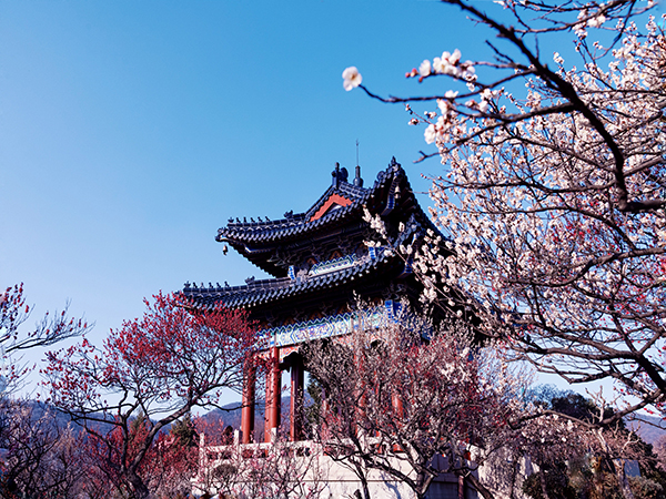 Best places to see spring blossoms in China