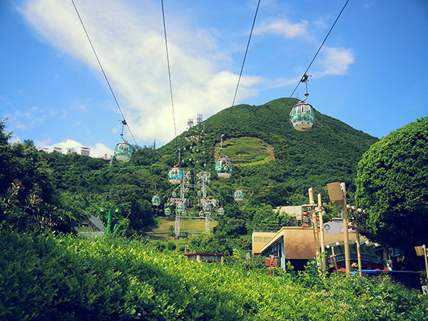 Top 10 Theme Parks in China to Go with Kids - Hong Kong Ocean Park