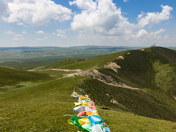 Qilian Mountain Grassland