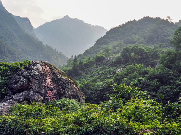 Shennongjia National Nature Reserve