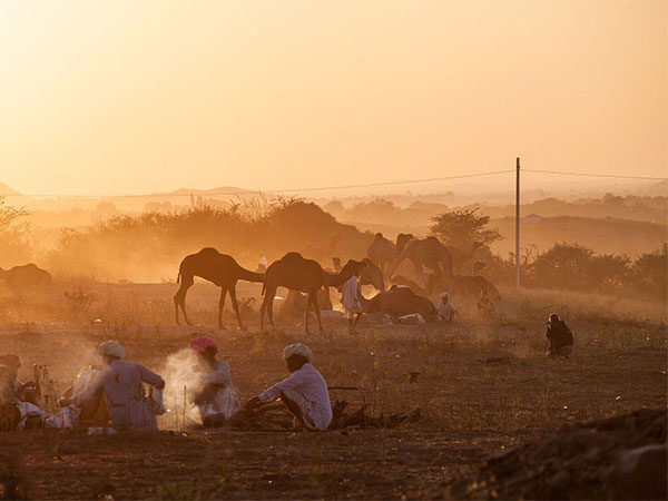 The Decline of the Silk Road