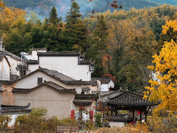 Tachuan Village, Huangshan