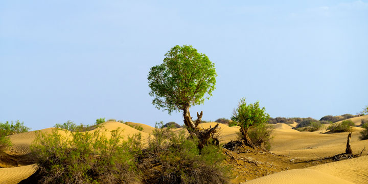 Taklimakan Desert