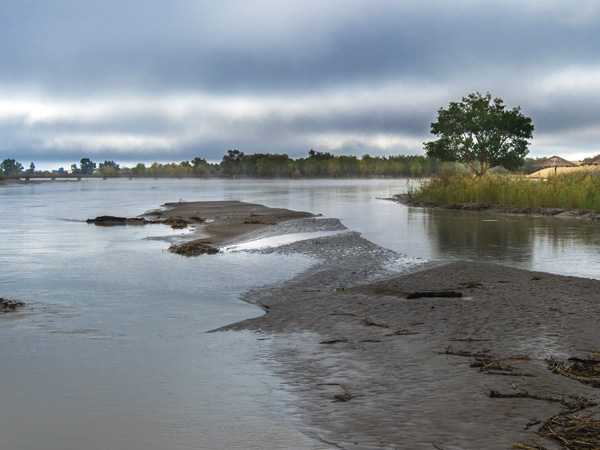 tarim river