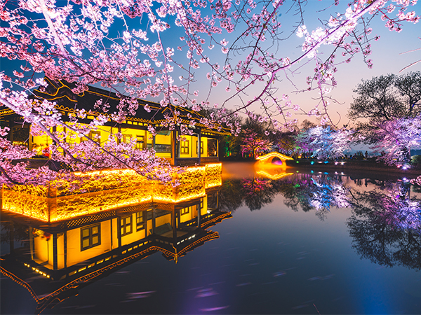 Best Places to See Cherry Blossoms in China