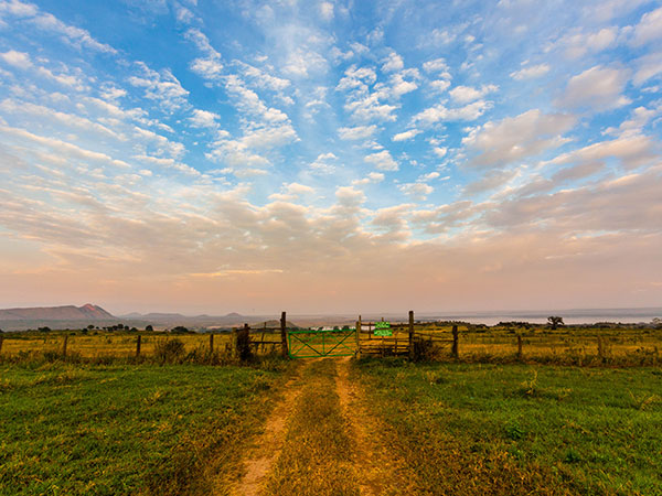 Most Beautiful Grassland in China - West Sichuan Grassland