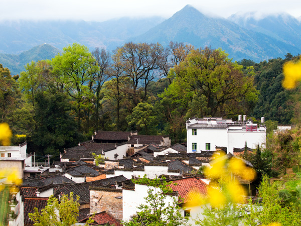 Best Places to Visit in China in March-Wuyuan/ Jiangxi Province