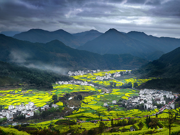 Best places to see spring blossoms in China