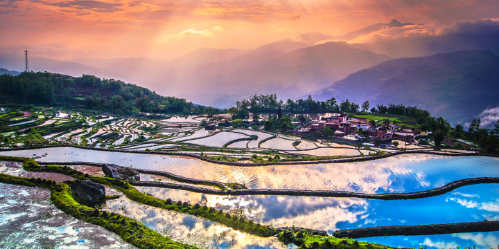 Yuanyang Rice Terrace