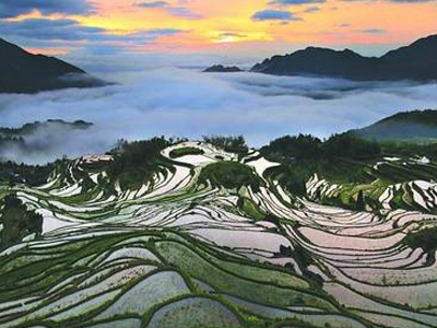 Zhejiang Yunhe Rice Terrace