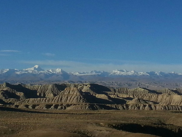 Zanda Earthen Forest