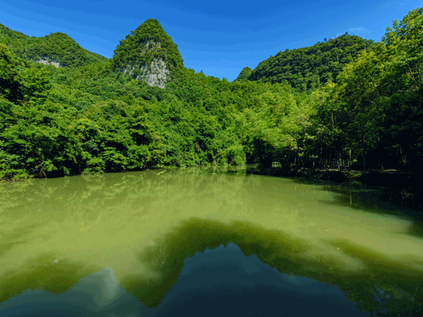 Ten Most Beautiful Forests in China - Libo Karst Forest
