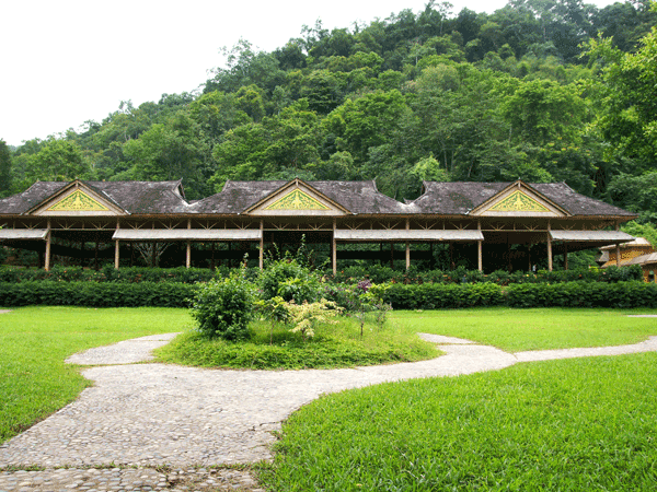 Most Beautiful Forests in China - Xishuangbanna Tropical Plants Garden